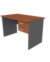 ESCRITORIO 2 CAJONES 120x70