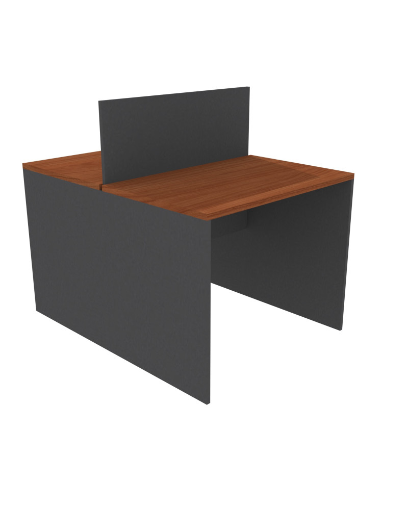 ESCRITORIO DUO 80x120