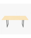MESA NEO  200x110x75H