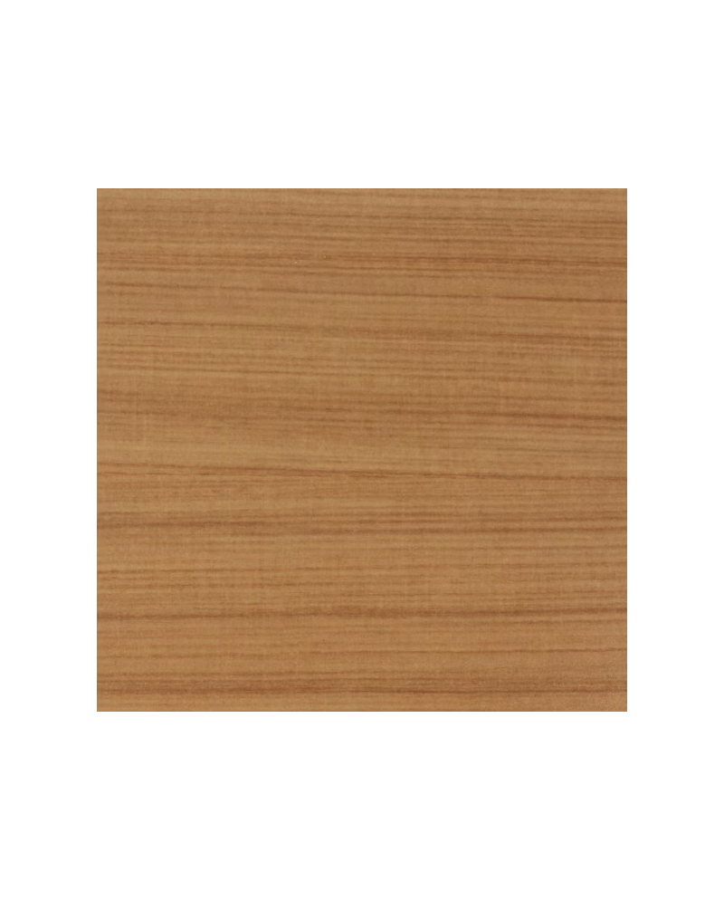 TAPACANTO COIGUE 29X2